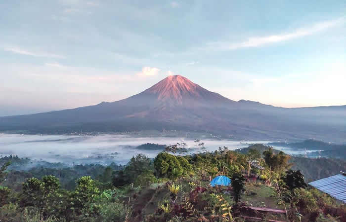 We provide Ngurah Rai International Airport, Denpasar (DPS), Bali pick-up and drop-off services to Lumajang, East Java, along with reliable inter-hotel transfer to all destinations in Bali, East Java, Central Java, Yogyakarta, West Java, Jakarta, Banten, private car and van rental with driver in a range of well-maintained, air-conditioned vehicles, including Toyota Avanza 5-seater car, Toyota Innova 6-seater car, and Toyota Hiace 14-seater van to suit your travel needs.
