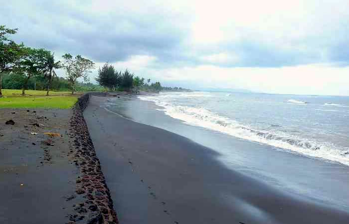 We provide Ngurah Rai International Airport, Denpasar (DPS) pick-up and drop-off services to Saba, along with reliable inter-hotel transfers to all destinations in Bali, East Java, Central Java, Yogyakarta, West Java, Jakarta, Banten, private car and van rental with driver in a range of well-maintained, air-conditioned vehicles, including Toyota Avanza 5-seater car, Toyota Innova 6-seater car, and Toyota Hiace 14-seater van to suit your travel needs.
